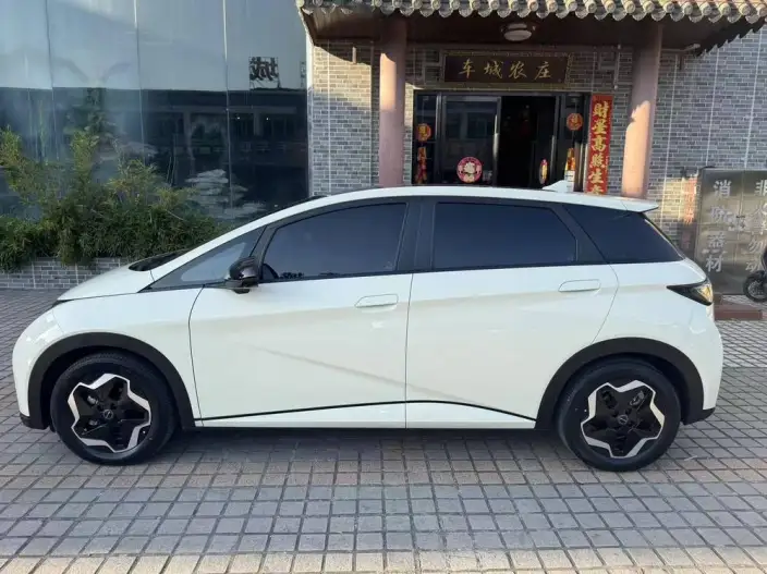 BYD Dolphin 2021 Model Fashion Edition