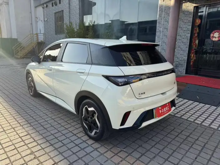 BYD Dolphin 2021 Model Fashion Edition – фото 5