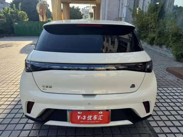 BYD Dolphin 2021 Model Fashion Edition – фото 6