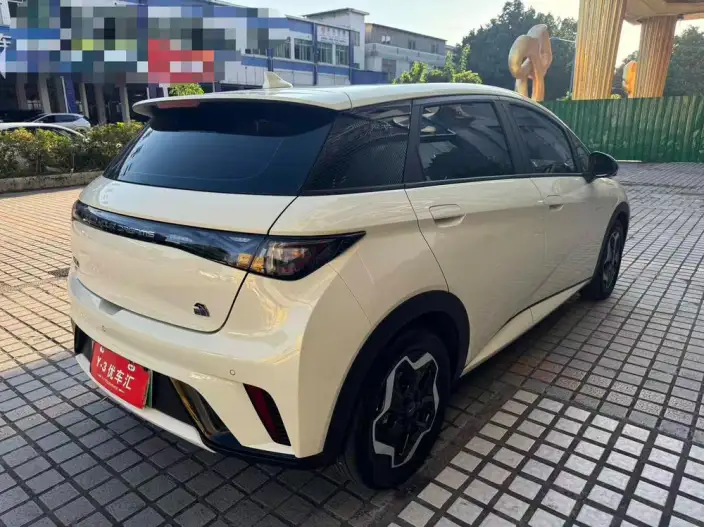 BYD Dolphin 2021 Model Fashion Edition – фото 7