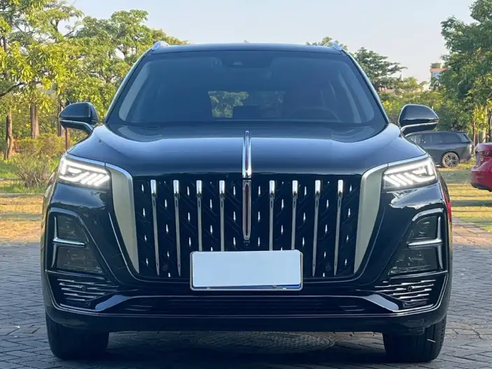 Hongqi HS5 2023 Model 2.0T Flag Xiang Pro Edition – фото 2