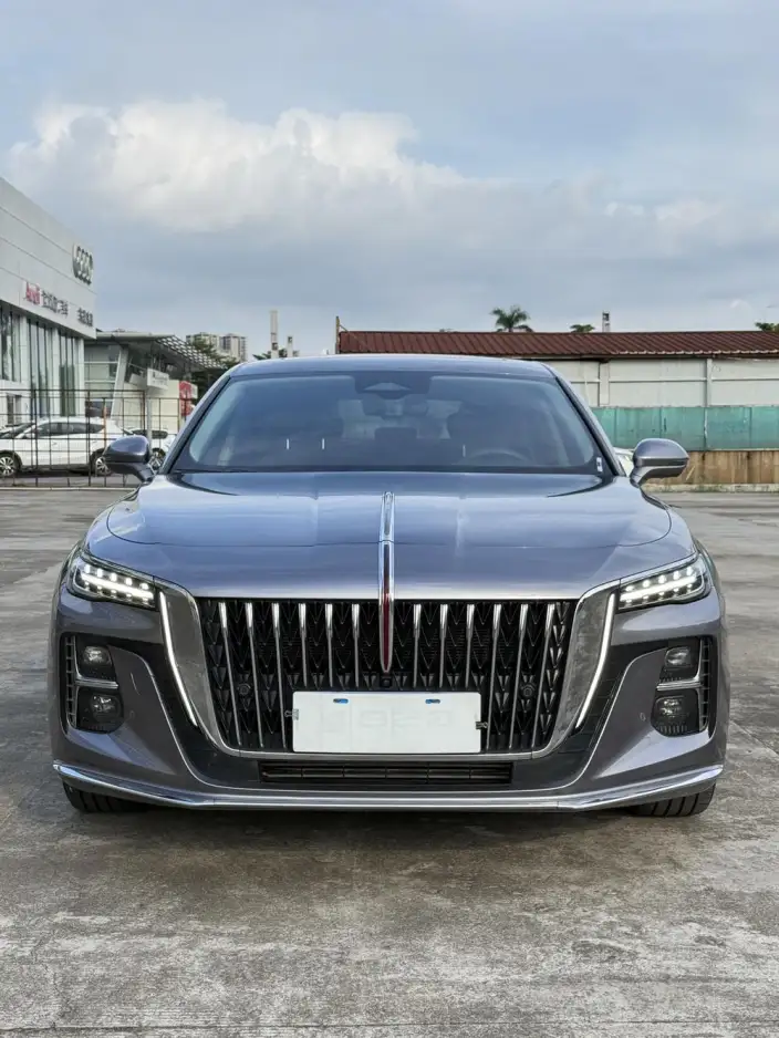 Hongqi H5 2024 Model 2.0T Automatic Flag Enjoy Edition – фото 2