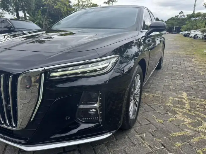 Hongqi H5 2024 Model 1.5T DCT Flag Rhythm Edition – фото 8