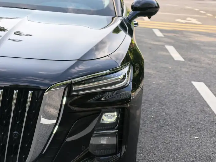 Hongqi H5 2023 Model 2.0T Automatic Smart Flag Enjoy Edition – фото 8