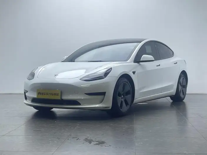 Model 3 2021 Model Standard Battery Life Rear Drive L Class Edition 3D6