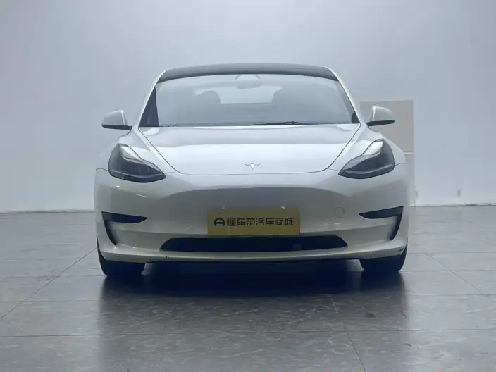 Model 3 2021 Model Standard Battery Life Rear Drive L Class Edition 3D6