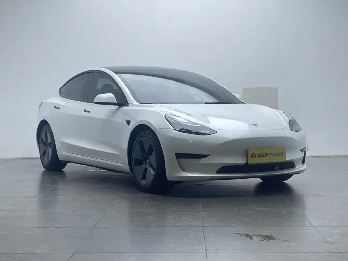 Model 3 2021 Model Standard Battery Life Rear Drive L Class Edition 3D6