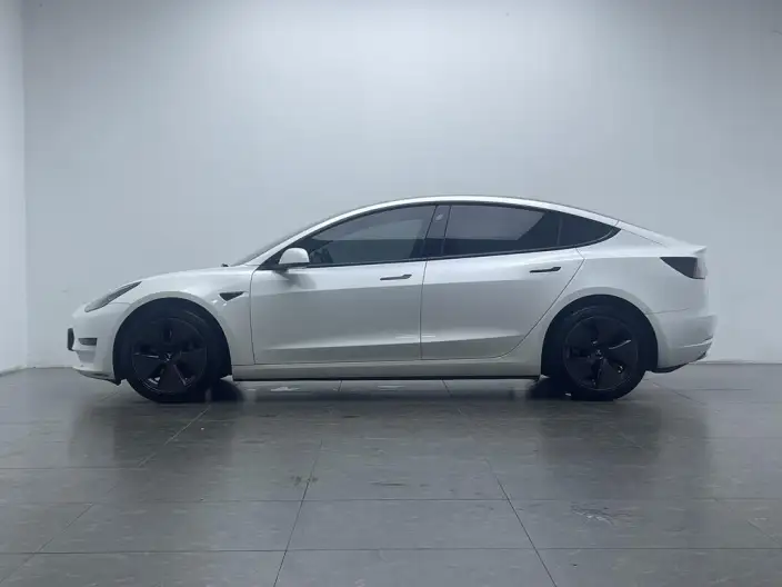Model 3 2021 Model Standard Battery Life Rear Drive L Class Edition 3D6