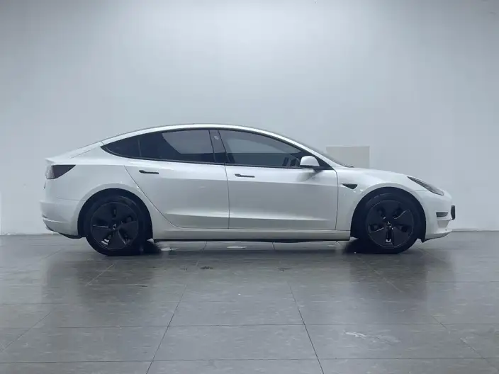 Model 3 2021 Model Standard Battery Life Rear Drive L Class Edition 3D6 – фото 8
