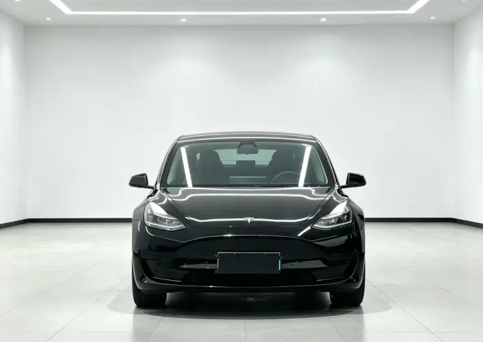 Model 3 2022 Model Rear-wheel drive version