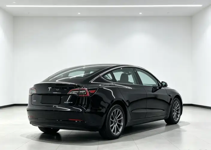Model 3 2022 Model Rear-wheel drive version