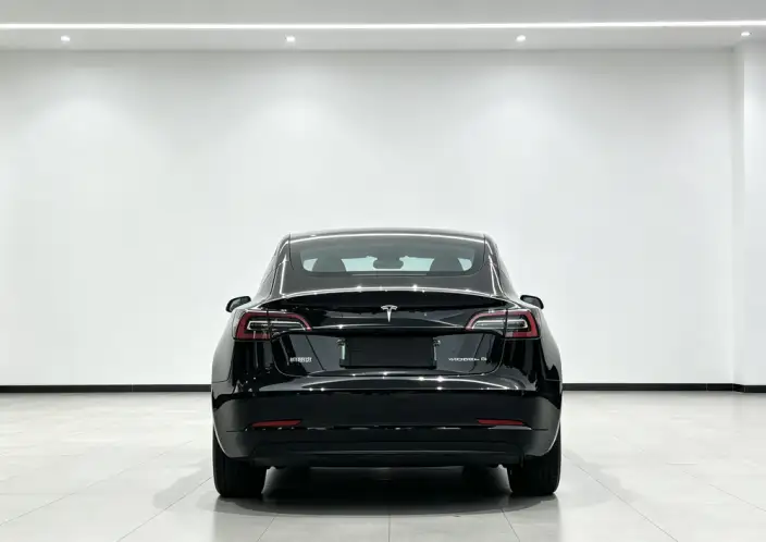 Model 3 2022 Model Rear-wheel drive version – фото 5