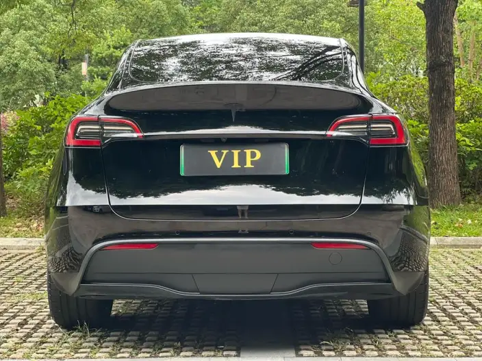 Model Y 2022 Model Facelift Rear-wheel drive version – фото 5