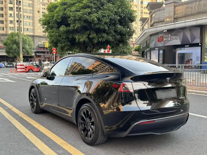 Model Y 2022 Model Facelift Long Battery Life Pro All-wheel drive version – фото 5