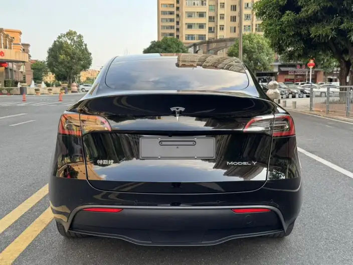 Model Y 2022 Model Facelift Long Battery Life Pro All-wheel drive version – фото 6