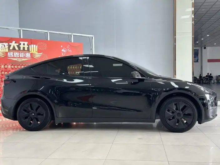 Model Y 2023 Model Rear-wheel drive version – фото 7