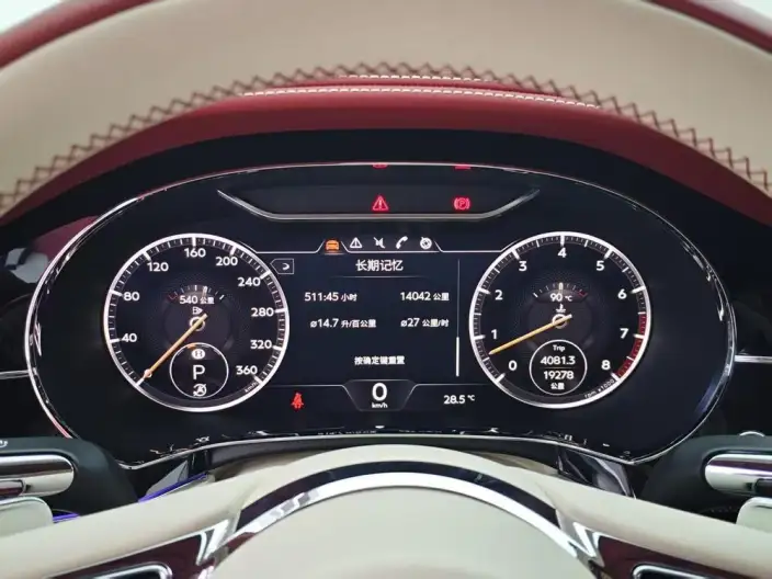 Continental 2022 Model 4.0T GT V8 – фото 9