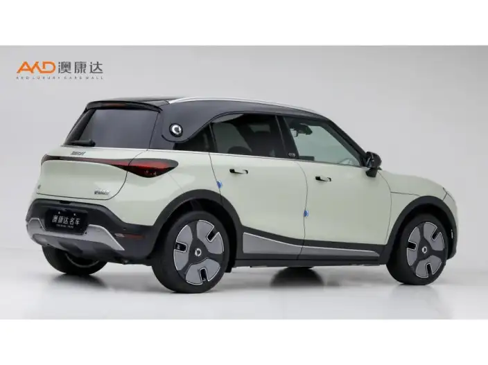 smart #1 2022 Model Premium – фото 4