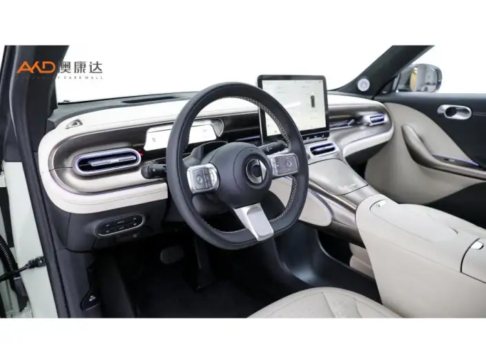 smart #1 2022 Model Premium – фото 6