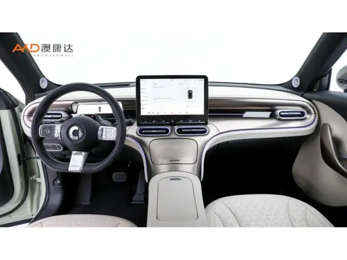 smart #1 2022 Model Premium – фото 7