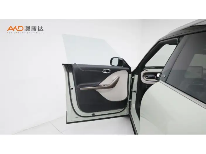 smart #1 2022 Model Premium – фото 9