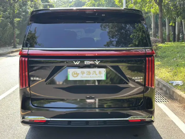 Wey Gaoshan P HEV 2025 Model 4WD Wey Gaoshan 8