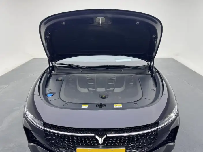VOYAH Pursuit PHEV 2024 Model Ultra-long Endurance 4WD Ultimate Edition – фото 10