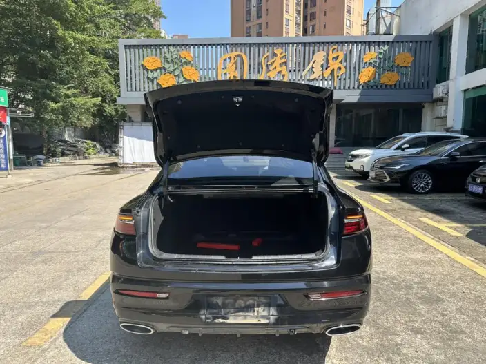 Geely StarRui 2023 Model 2.0T Luxury Model – фото 10