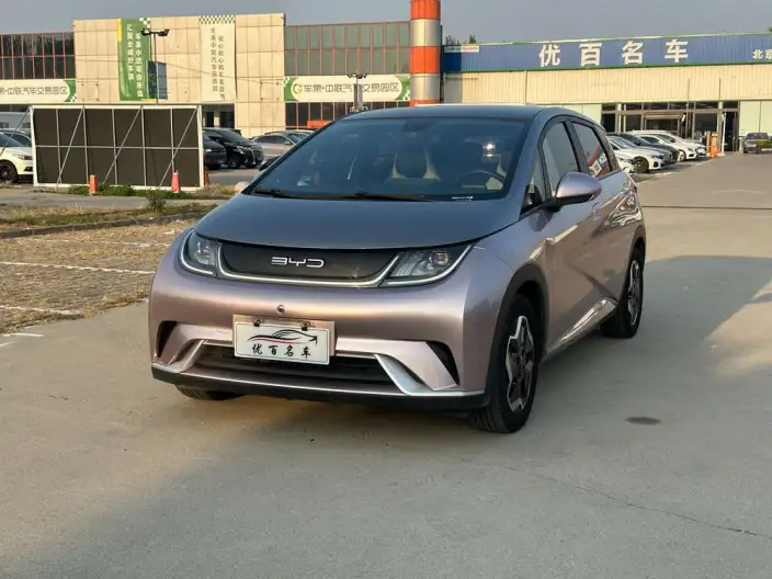 BYD Dolphin 2021 Model Fashion Edition