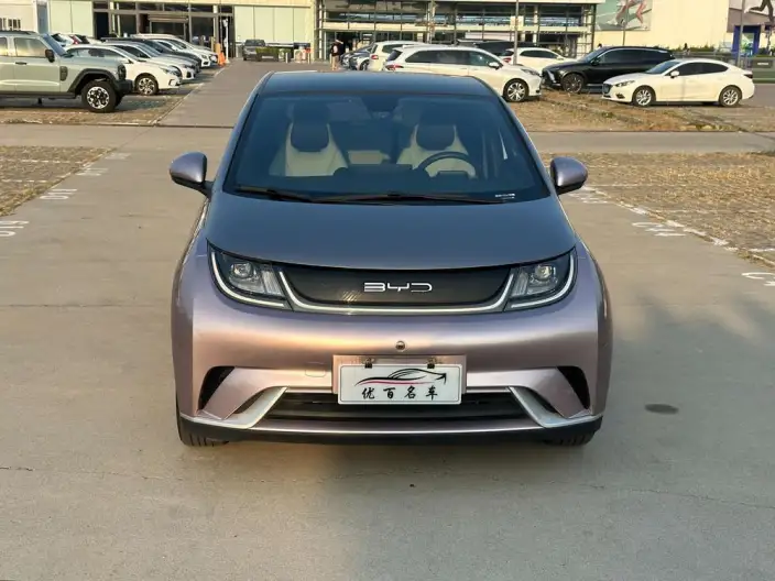 BYD Dolphin 2021 Model Fashion Edition