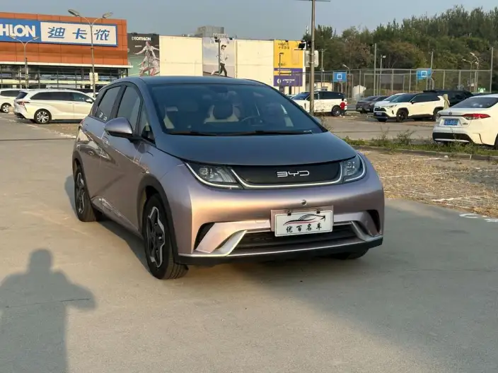 BYD Dolphin 2021 Model Fashion Edition