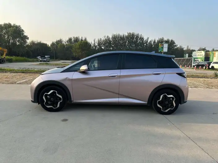 BYD Dolphin 2021 Model Fashion Edition
