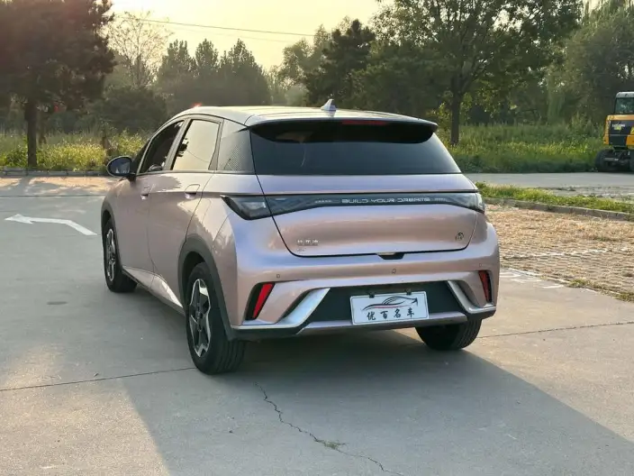 BYD Dolphin 2021 Model Fashion Edition – фото 5
