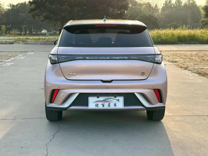 BYD Dolphin 2021 Model Fashion Edition – фото 6