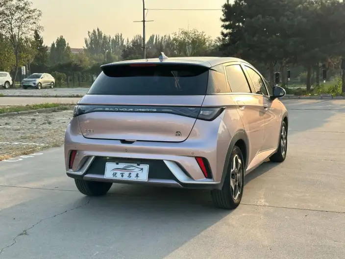 BYD Dolphin 2021 Model Fashion Edition – фото 7