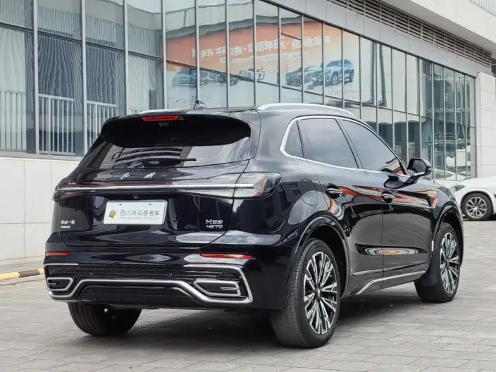 Hongqi HS5 2023 Model 2.0T 4WD Flag Xiang Pro Edition – фото 6