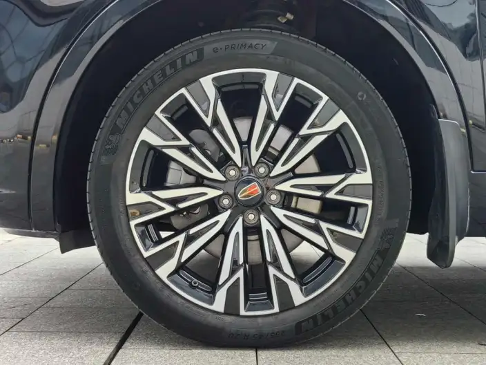 Hongqi HS5 2023 Model 2.0T 4WD Flag Xiang Pro Edition – фото 8
