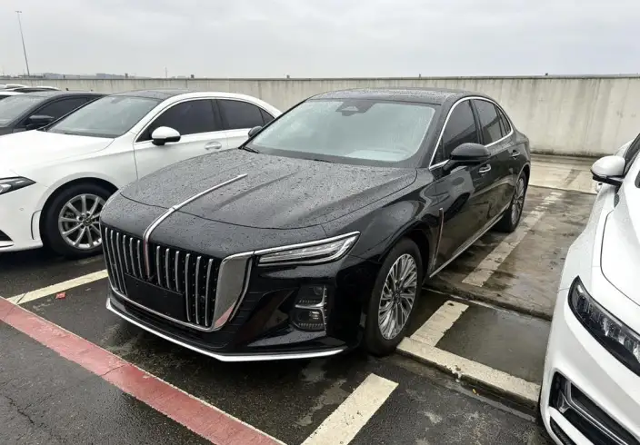Hongqi H5 2023 Model 2.0T Automatic Flag Enjoy Edition