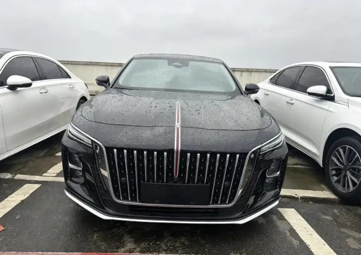 Hongqi H5 2023 Model 2.0T Automatic Flag Enjoy Edition