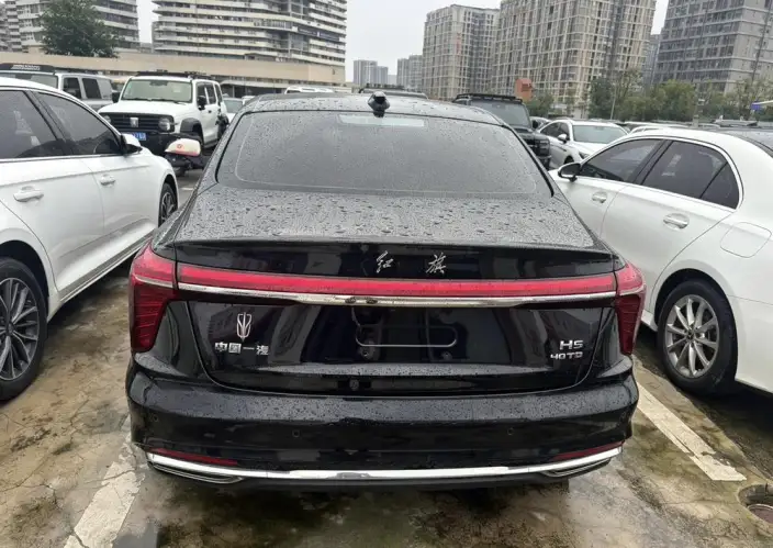 Hongqi H5 2023 Model 2.0T Automatic Flag Enjoy Edition – фото 5