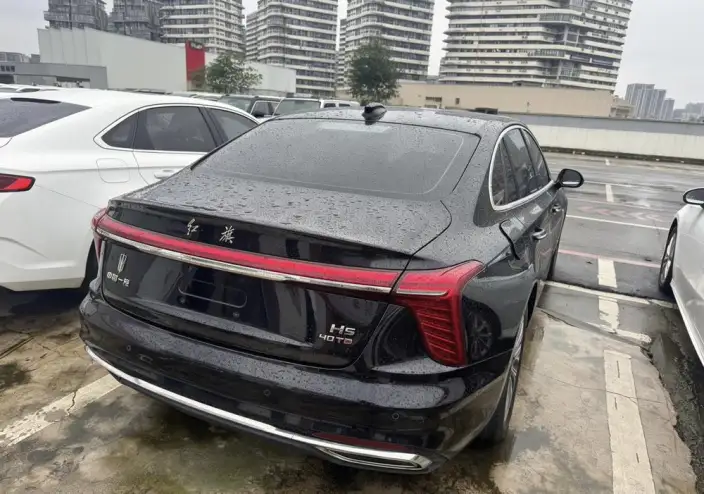 Hongqi H5 2023 Model 2.0T Automatic Flag Enjoy Edition – фото 6