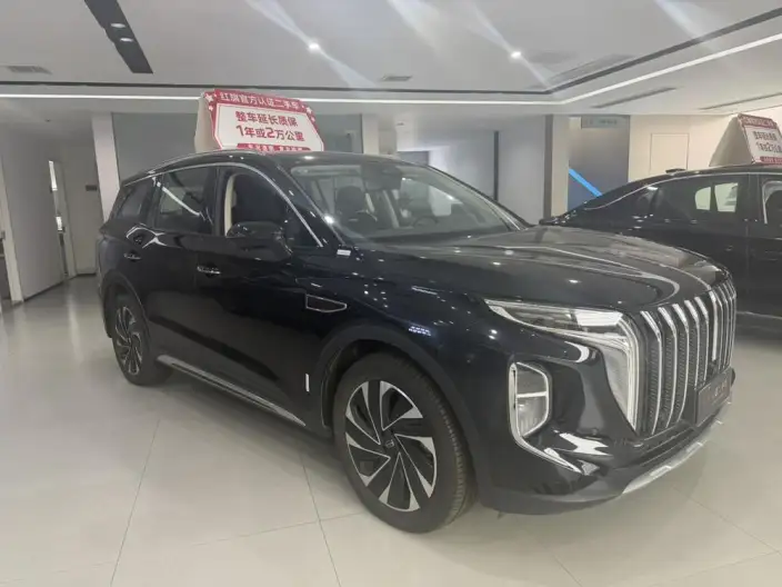 Hongqi HS7 PHEV 2024 Model 2.0T 4WD Flag Enjoy Edition 7 seat – фото 2
