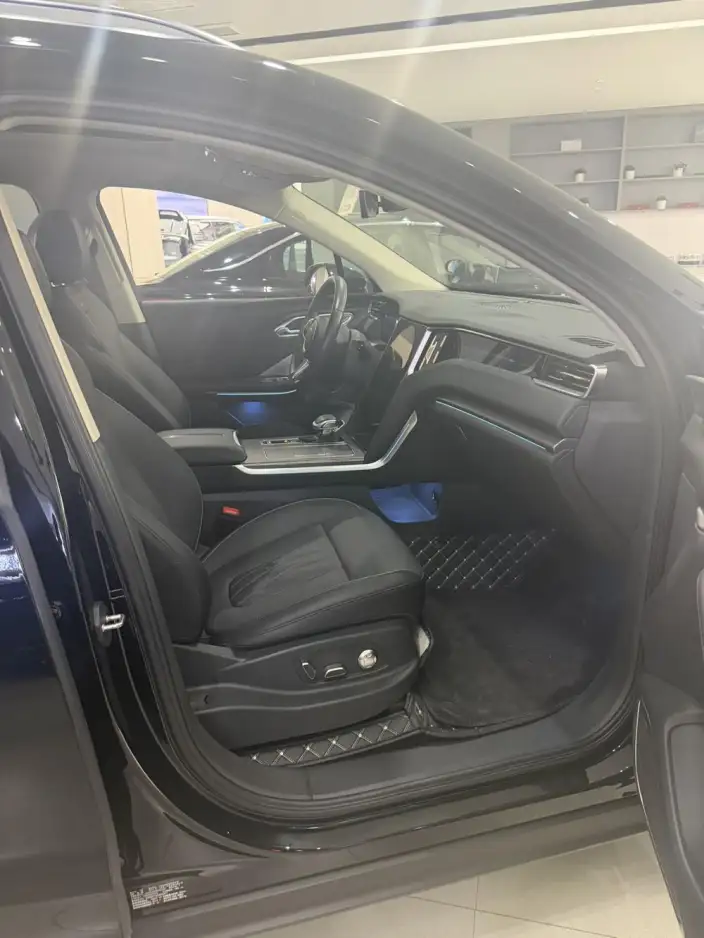 Hongqi HS7 PHEV 2024 Model 2.0T 4WD Flag Enjoy Edition 7 seat – фото 8