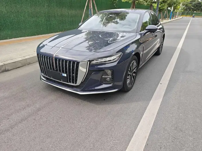 Hongqi H5 2024 Model 2.0T Automatic Flag Lead Edition