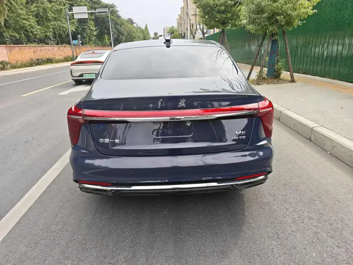 Hongqi H5 2024 Model 2.0T Automatic Flag Lead Edition – фото 5