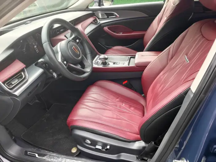 Hongqi H5 2024 Model 2.0T Automatic Flag Lead Edition – фото 10