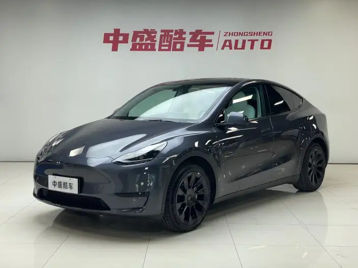 Model Y 2022 Model Rear-wheel drive version – фото 1