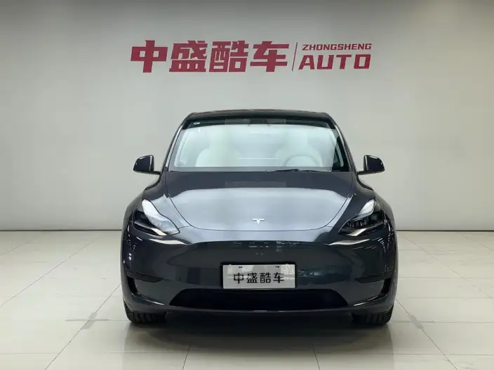 Model Y 2022 Model Rear-wheel drive version – фото 2