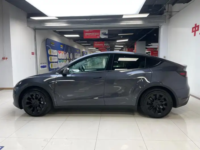 Model Y 2022 Model Rear-wheel drive version – фото 3