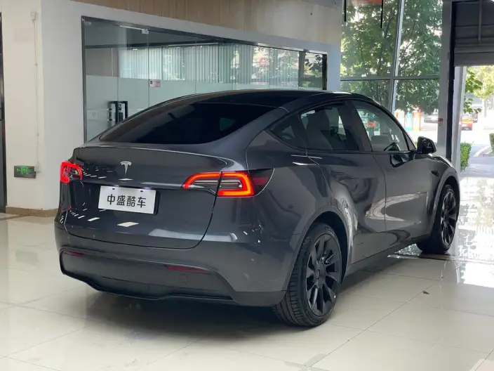 Model Y 2022 Model Rear-wheel drive version – фото 6